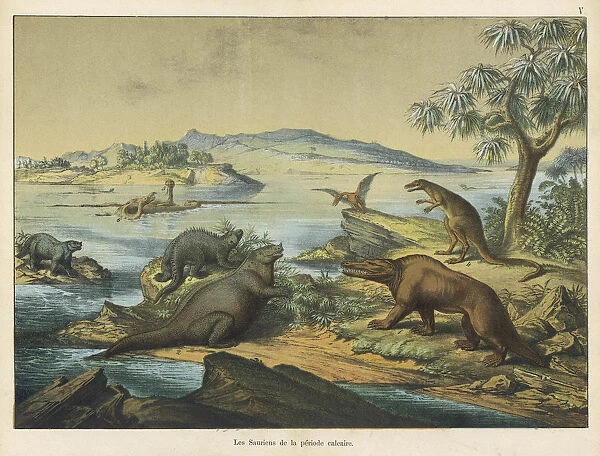 Animals and plants of the post-Jurassic era