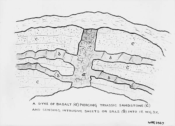 A Dyke of Basalt (A) Piercing Triassic Sandstone