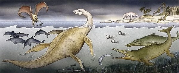 Ichthyosaurus, Rhamphorhynchus, Plesiosaurus, Megalosaurus