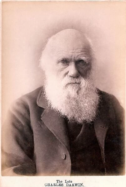 1879 Charles Darwin at eighty years old