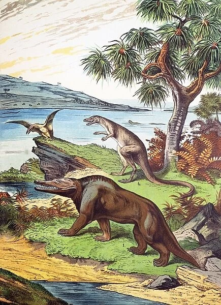 1888 Megalosaurus, Dryptosaurus dinosaurs