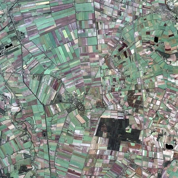 Agricultural fields around Bourtange