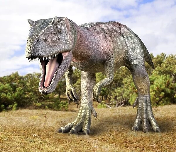 Allosaurus dinosaur, artwork