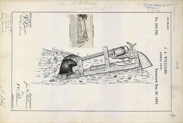 Animal trap patent, 1882 C024  /  3597