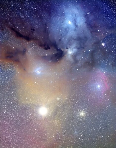 Antares  /  Rho Ophiuchi region