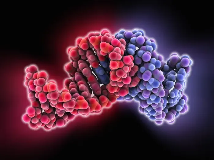 Framed Print : Bacterial RNA plasmid loop-loop complex Framed Print : Bacterial RNA plasmid loop-loop complex