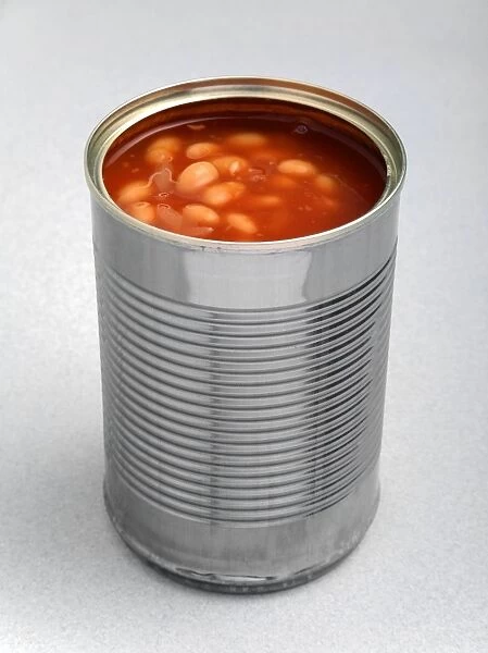 Baked beans in a can