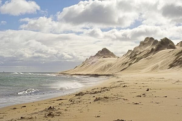 Coastal sand dunes