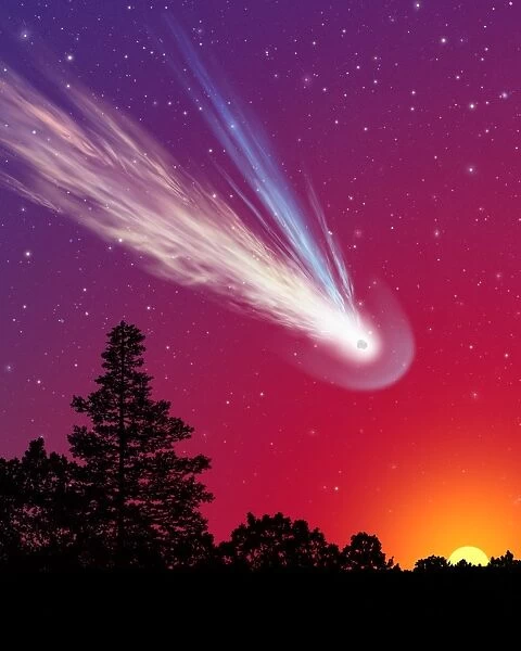 Comet over trees, artwork C015  /  0777