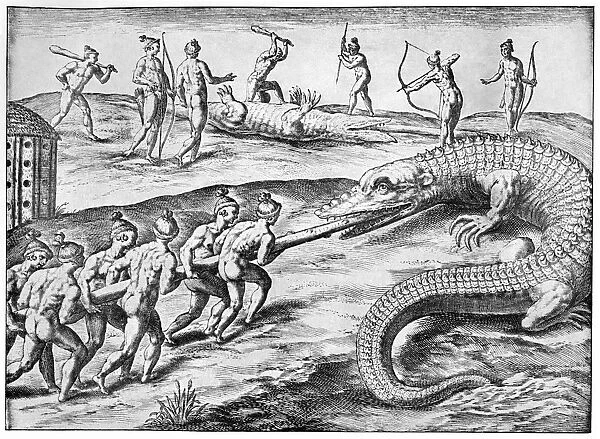 Crocodile hunt, artwork