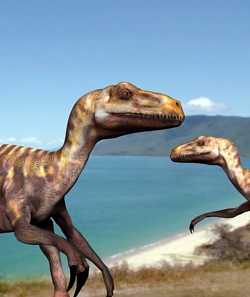 Deinonychus dinosaurs