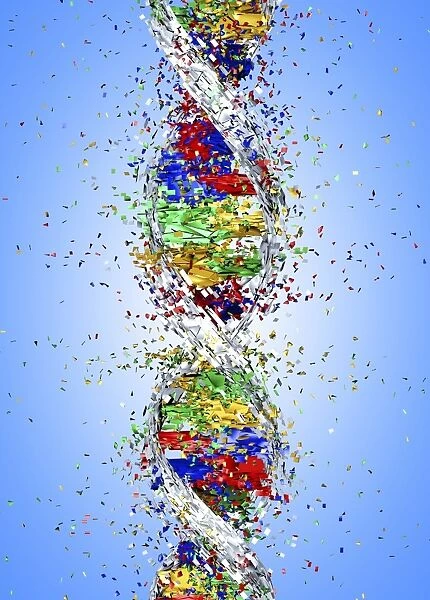 DNA damage, computer artwork