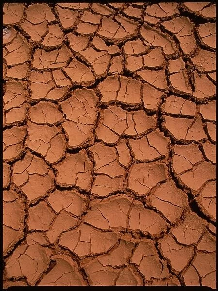 Dried mud. Pattern of cracks in dried mud