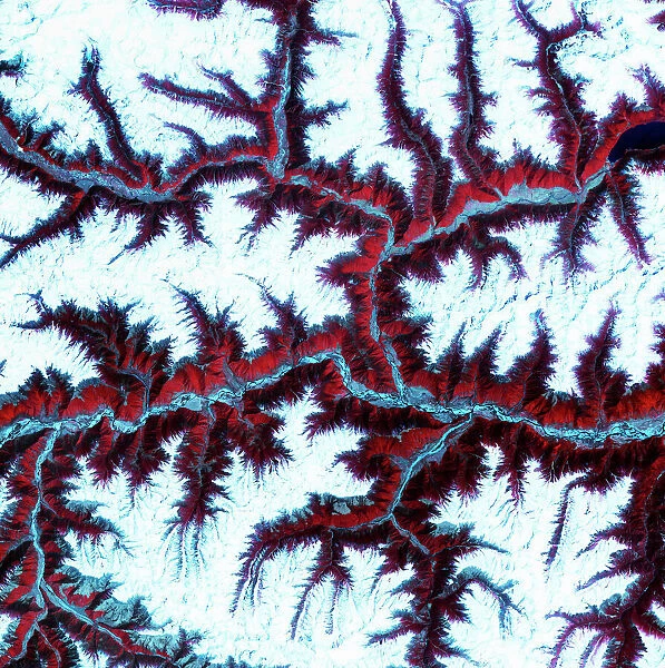 Eastern Himalayas, satellite image