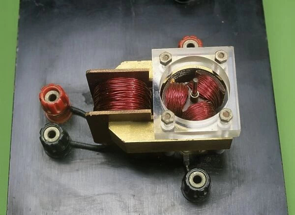 Electric motor coils