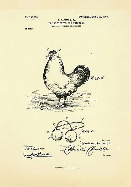 Eyeglasses for chickens patent, 1903 C024  /  3600