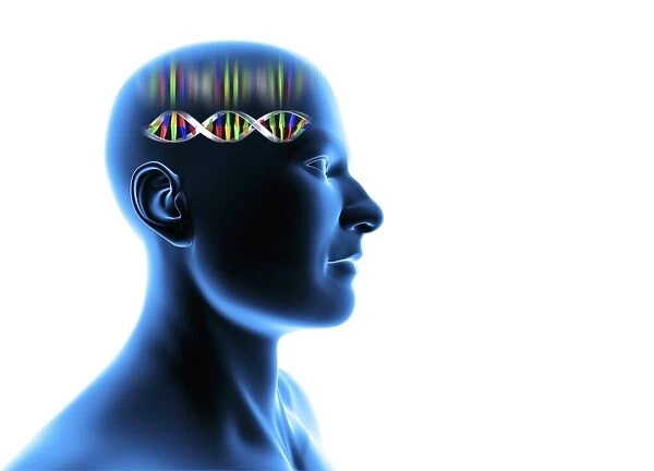 Genetic individuality, male Head with DNA