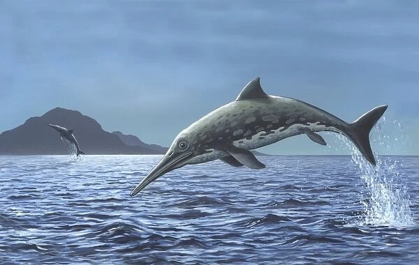 Ichthyosaurs leaping in the air, artwork
