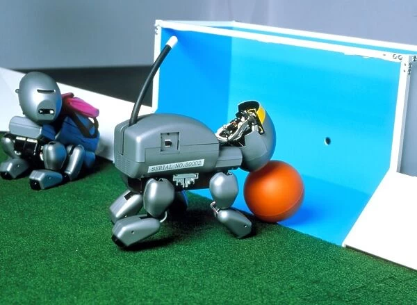 Legged Sony robot scores a goal at RoboCup-98