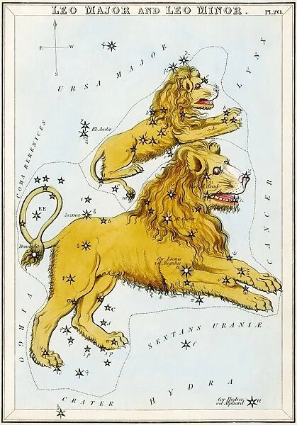 Leo constellations
