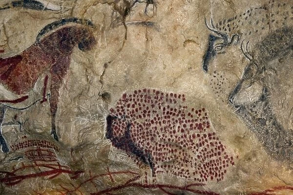 Marsoulas cave painting replica C013  /  7416