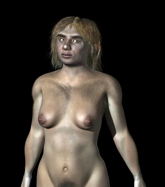 Neanderthal woman, artwork C016  /  5790