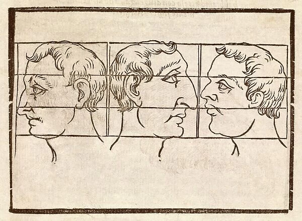Three nose types, 17th century