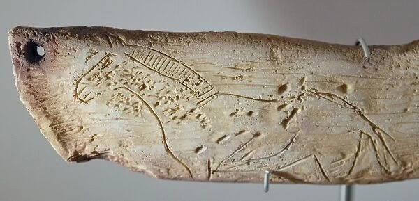 Prehistoric carved horse C015  /  6733