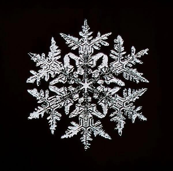 Snowflake. Computer-enhanced image of a snow crystal