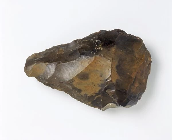 Swanscombe hand axe C013  /  6535