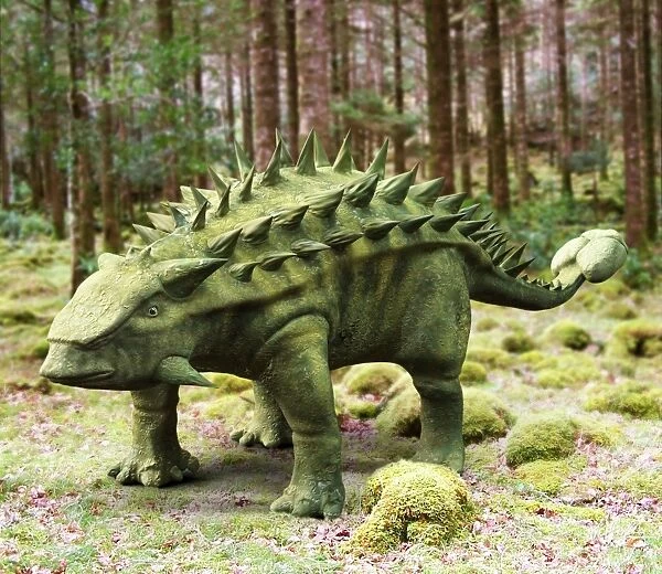 Talarurus dinosaur