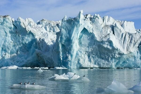 Tidewater glacier