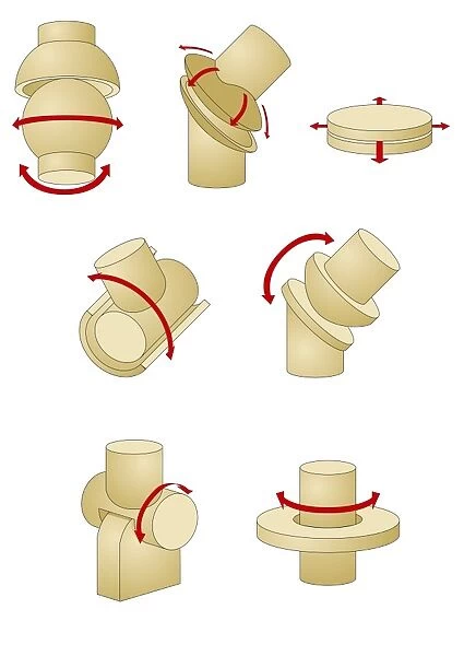 Types of joint, artwork