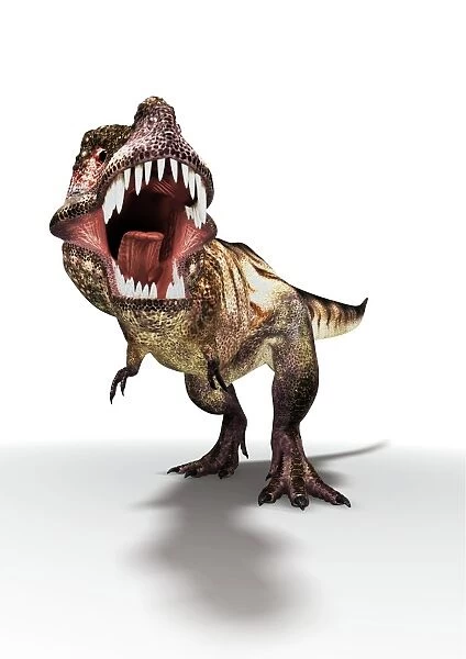 Tyrannosaurus rex, artwork