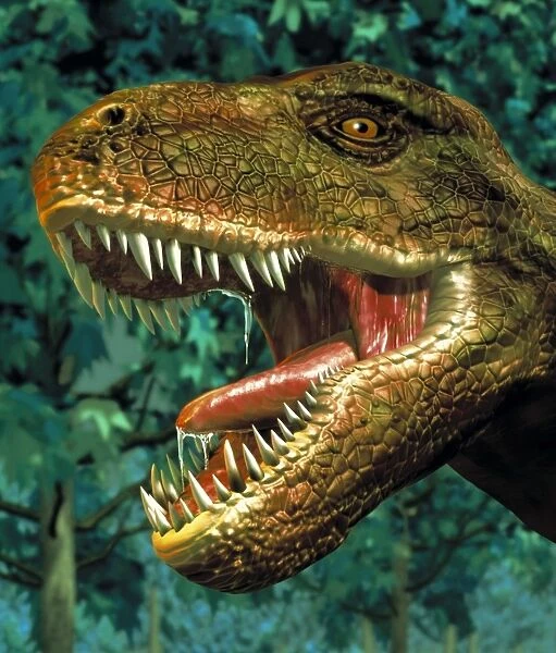 Tyrannosaurus rex dinosaur head