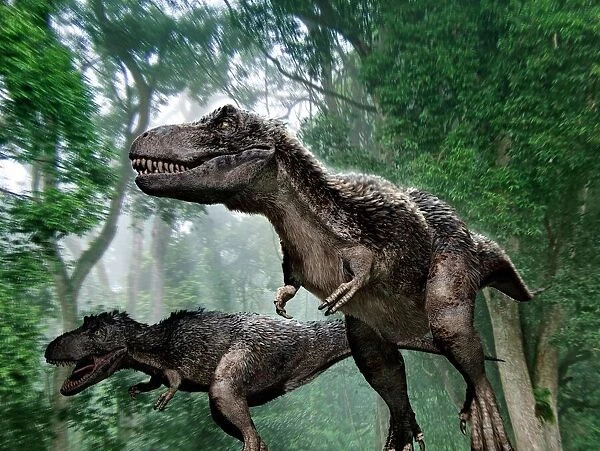 Tyrannosaurus rex dinosaurs