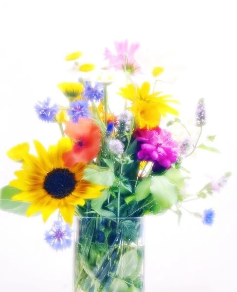 Vase of summer flowers