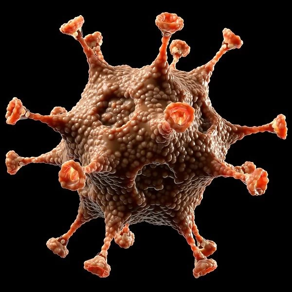 Virus particle, conceptual image