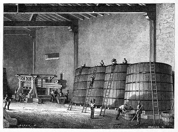 Wine production, 19th century