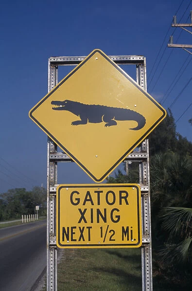 20057640. USA Florida Sanibel Island Captiva. Gator Xing road sign