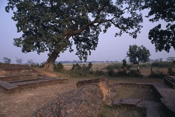 NEPAL, Lumbini Historic site said to be the birthplace of Buddha