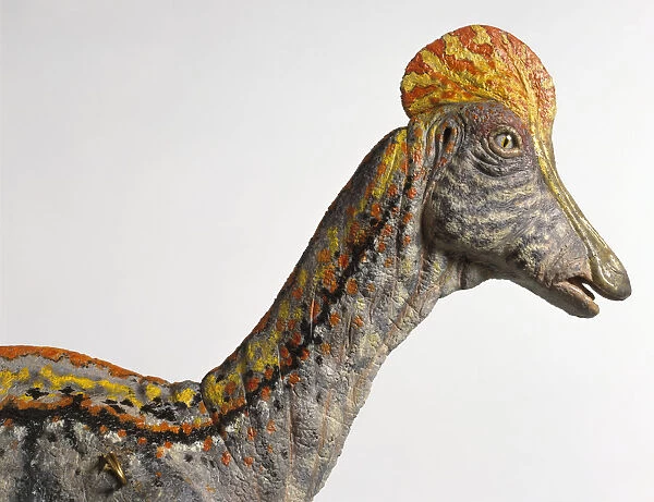 Corythosaurus dinosaur model head, close-up