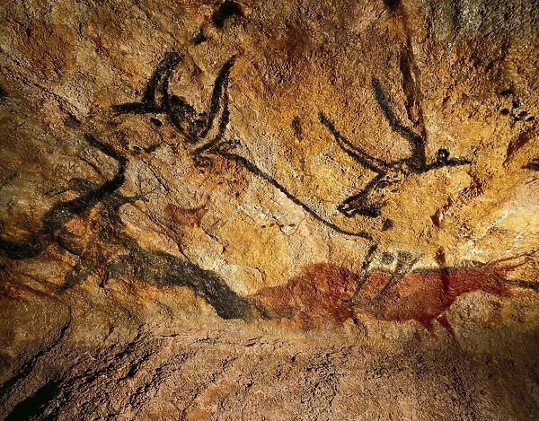 France, reconstruction of bull rock paintings of Lascaux caves