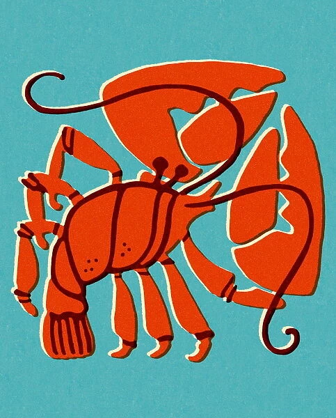 Lobster. http: /  / csaimages.com / images / istockprofile / csa_vector_dsp.jpg