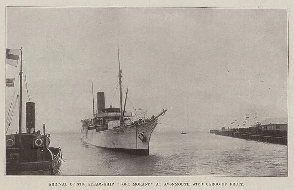 Arrival of the Steam-Ship 'Port Morant'at Avonmouth with Cargo of Fruit (b  /  w photo)
