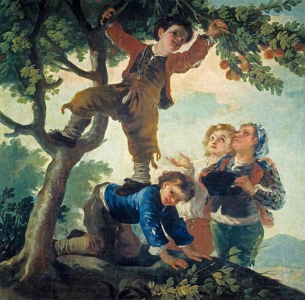 Boys Picking Fruit, 1779-80 (oil on canvas)