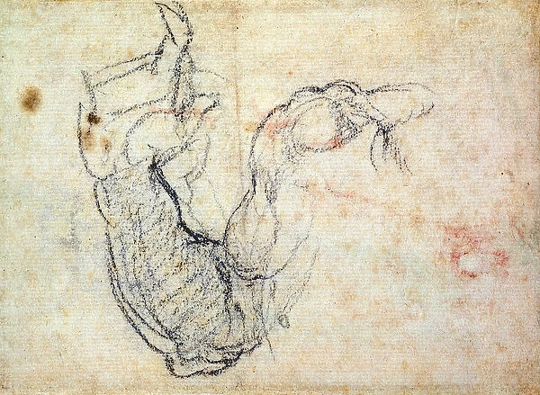 Preparatory Study for the Arm of Christ in the Last Judgement, 1535-41 (black chalk on paper)