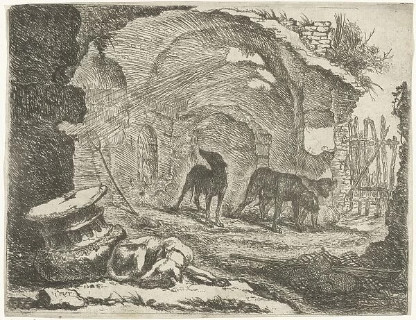 Four dogs near a ruin, Jan Fijt, 1667