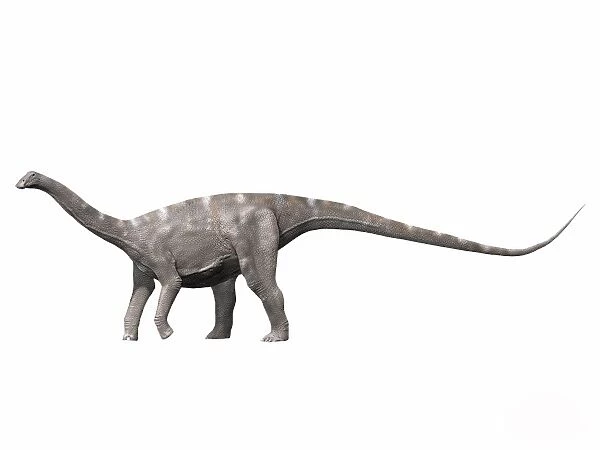 Nigersaurus taqueti, Early Cretaceous of Niger