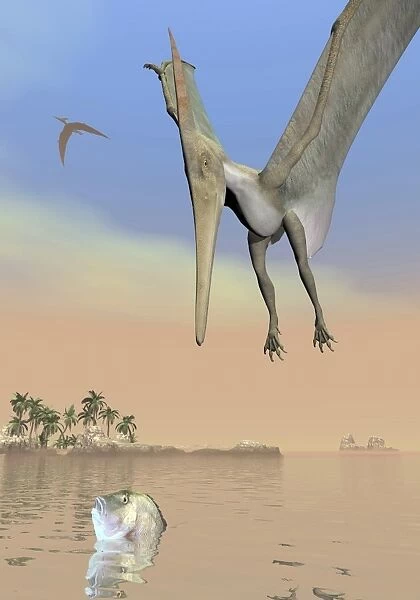 Pteranodon fishing for food